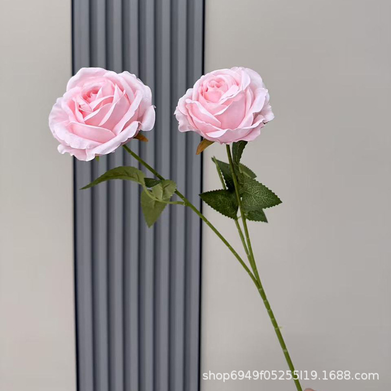 핑크(잎 없음)