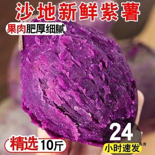 �������r�r���ԷNɳ�جF��10��������Ŵ�o�z�����߲˵ع�