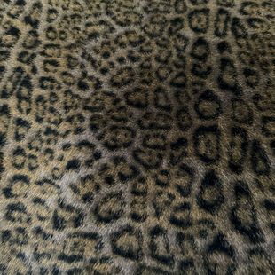 ��ˮ��ëӡ���y�_���� ѩ���ߵ�ë ��Ƥ�����q ���b���Ьñ����