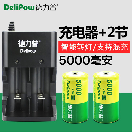 Delip No.1/D rechargeable battery charger set water heater emergency light battery No.1 rechargeable