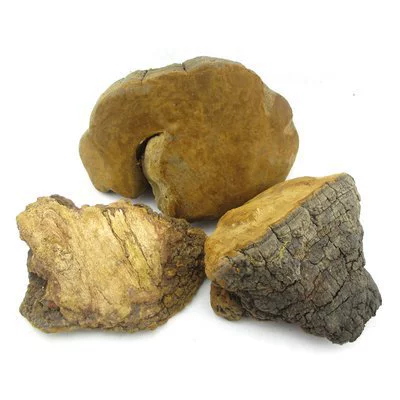 Оптовая продажа натурального дикого желтого тутового шелкопряда премиум-класса из гор Чанбай от Zhengxiang Pharmaceutical, в наличии, редкий продукт