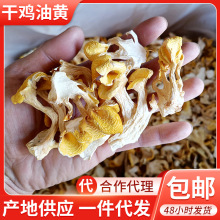 ���u�;�2�� ����خaʳ�þ� �����r���S���u���S�� �˹��u�;�