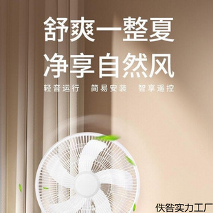 �������L�ȓu�^���ʽ���r���ù����o�������b���صױP