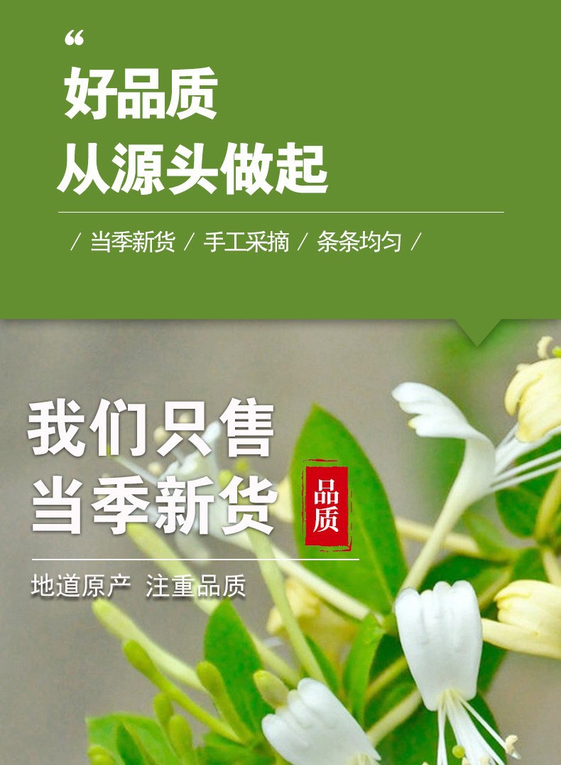 Honeysuckle Flower Jin Yin Hua 金银花 Dried Herbal Tea 30g Sample Pack Shandong Origin quality and texture