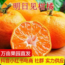 ����Ҋ���ٻʺ���ӑ����ǐ��¹����ȳ��ٰҰҸ̸�ƽ�������rˮ��