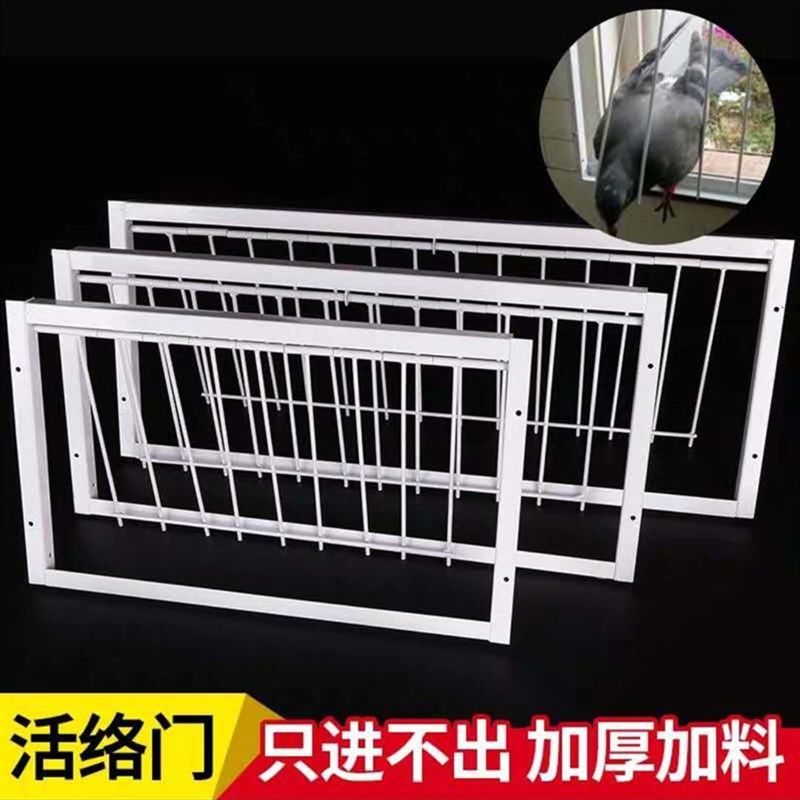 鸽子用品赛鸽活络门 活动门 鸽子跳笼门 碰门 撞门 信鸽撞笼门