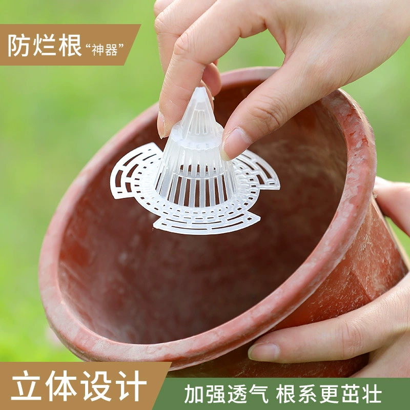 Новый стиль конический вулканический завод против гнилых корней