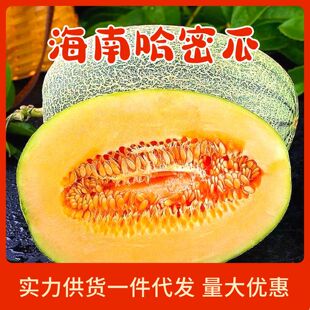 ���տ졿���Ϲ��ܹ� ����25���������r��������l3/5/910�������