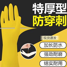 ���z�zƤ���z��ĥ����ţ�����z���׼҄ռӺ��ˮ�N��ϴ���坍