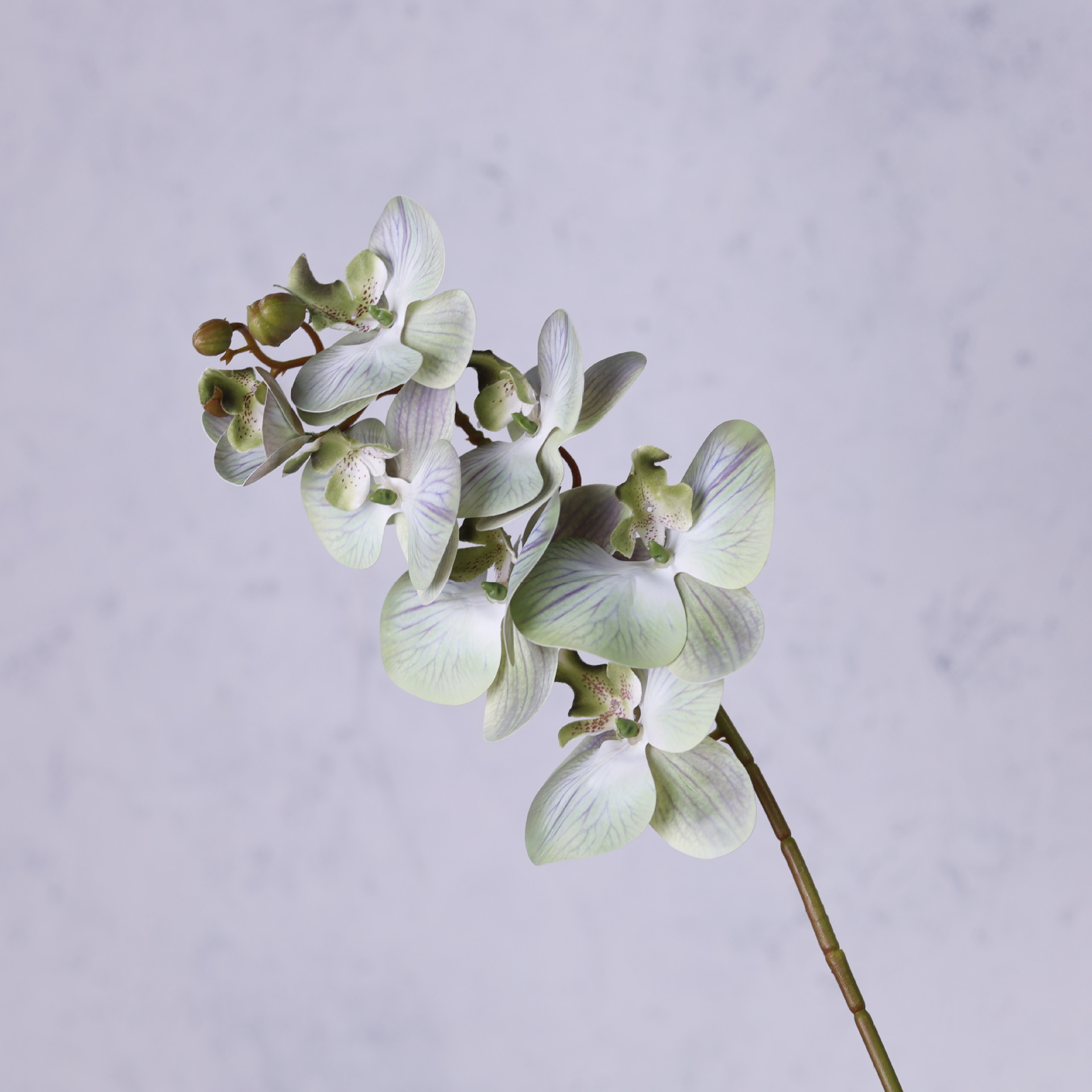 Impresión 3D de 7 cabezas de orquídeas mariposa flor de decoración de flores de alto nivel flor de nicho decoración floral decoración de sala de estar