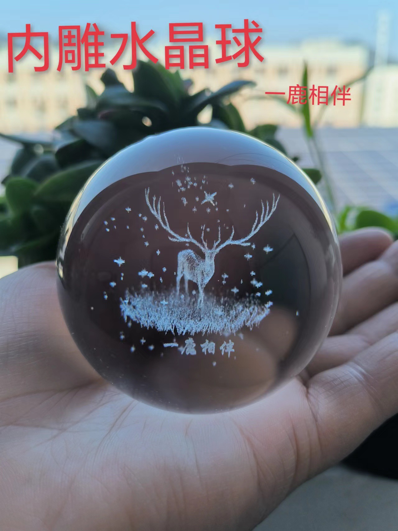 微信图片_20231031142706