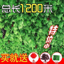 仿真樹葉吊頂葡萄葉藤條裝飾花藤塑料假花藤蔓管道纏繞綠葉綠植物