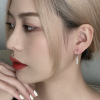 Small design earrings, internet celebrity, Japanese and Korean, simple and elegant design, trend of season