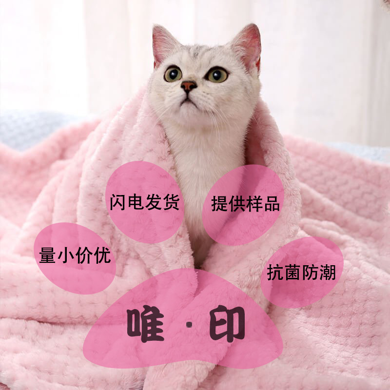 Aliexpress Amazon Hot Style Custom Color 100% Polyester Coral Velvet Flannel Blanket Pet Blanket