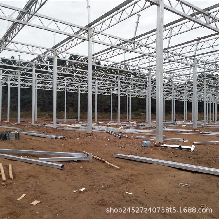 10米宽蔬菜大棚 镀锌管蔬菜温室 简易12米养殖温室大棚