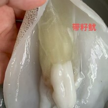 �V�������۟������ϻ���������~�����˟���ʳ�����l���r