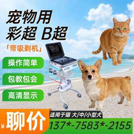 小动物高频线阵探头B超 宠物甲状腺乳腺浅表器官检查 兽用超声影