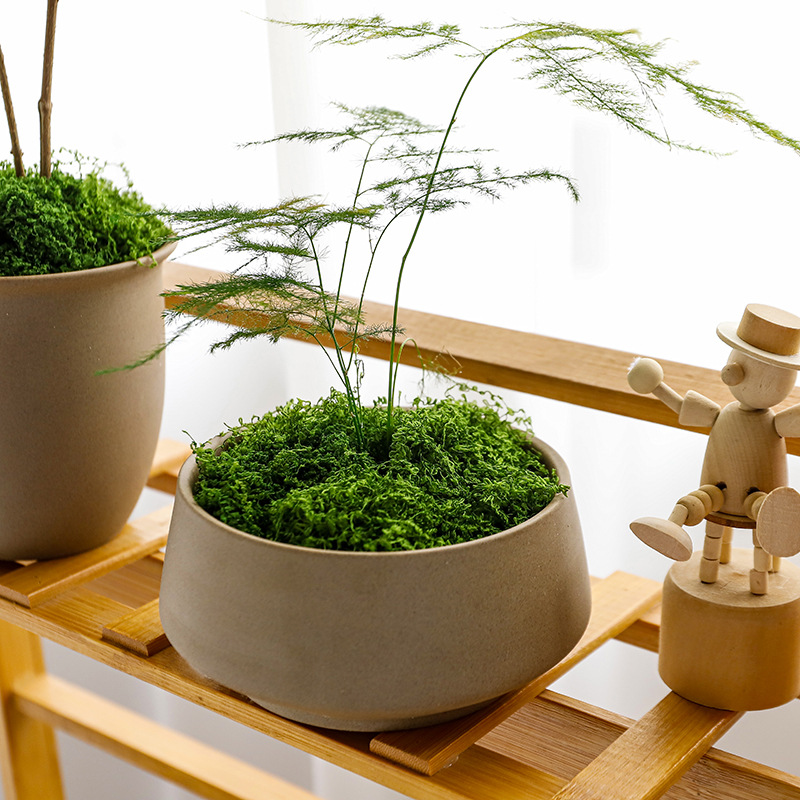 Simulación de musgo artificial de fibra de tela de peluche Micropisaje Disposición ornamental Césped bonsai maceta decoración paisajística