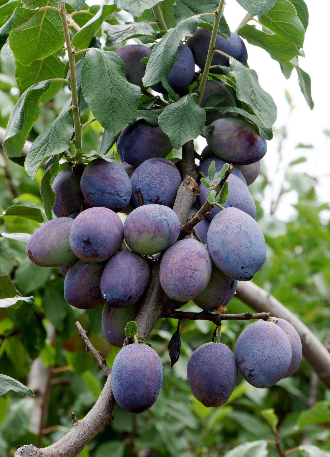 微信圖片_20230719104603