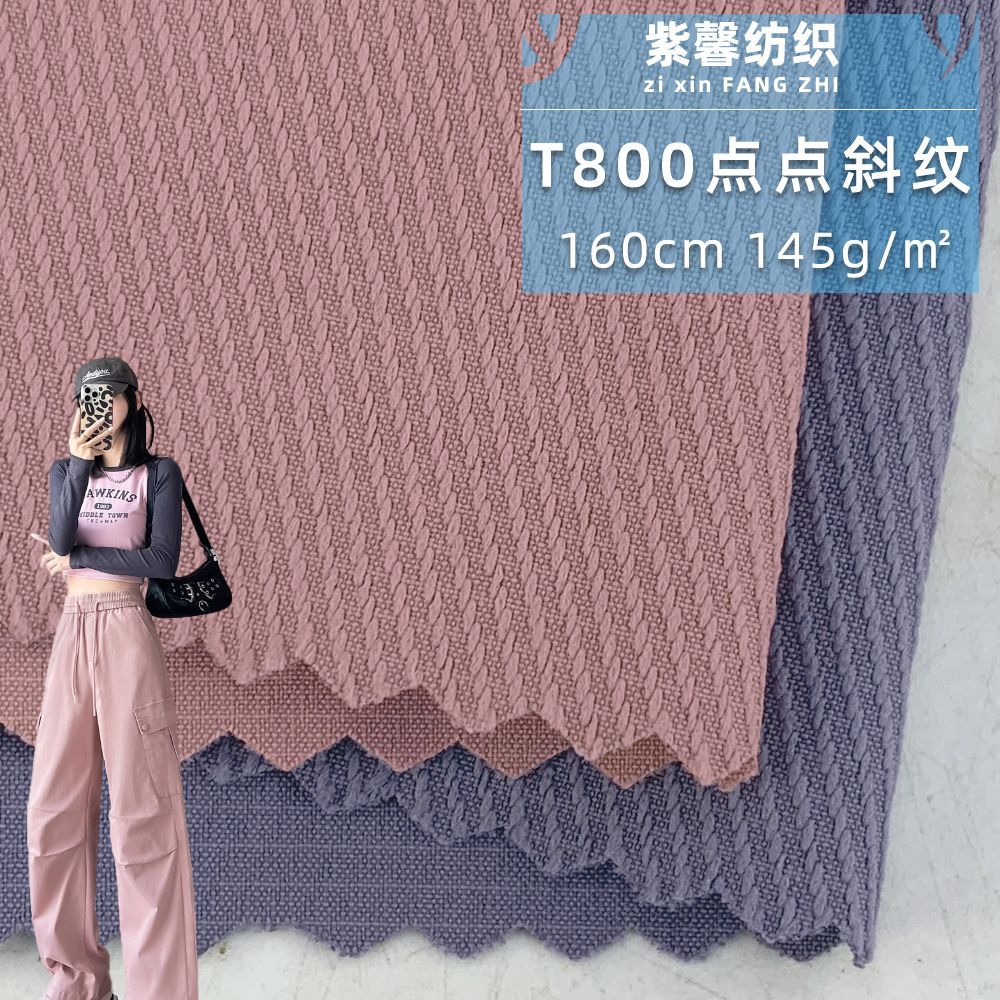 T800点点斜纹 涤纶梭织肌理箱包背包布 户外登山服风衣工装裤面料