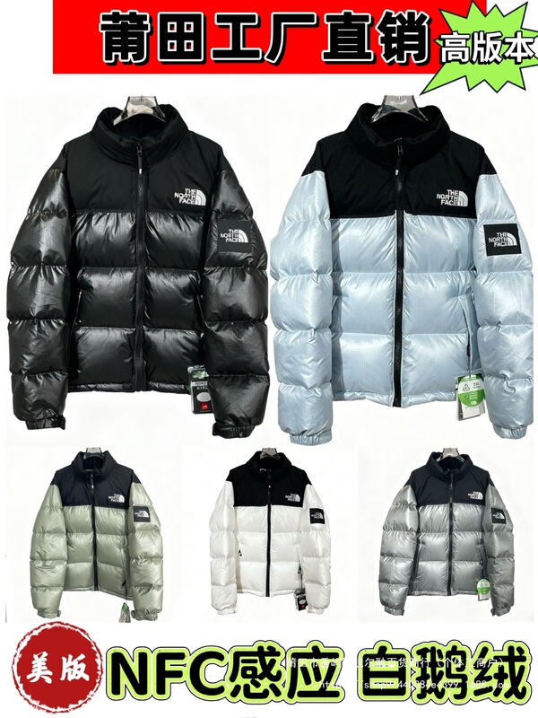 Putian High-Quality Beijia 1996 Large Plaid down Jacket North Face Shin Min Ah's Same Style Armband Men's and Women's Bread Jacket Putian High-Quality Beijia 1996 Large Plaid down Jacket North Face Shin Min Ah's Same Style Armband Men's and Women's Bread Jacket