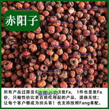 中药材精选火棘果 火棘子 火把果 救兵粮 救军粮 赤阳子500克批发