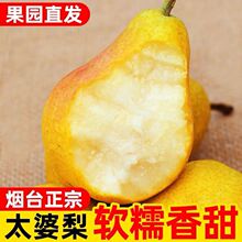 ̨̫ܛŴFժŴ^㽶rˮrˮ