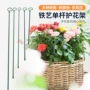 新款植物跨境靠墙支架