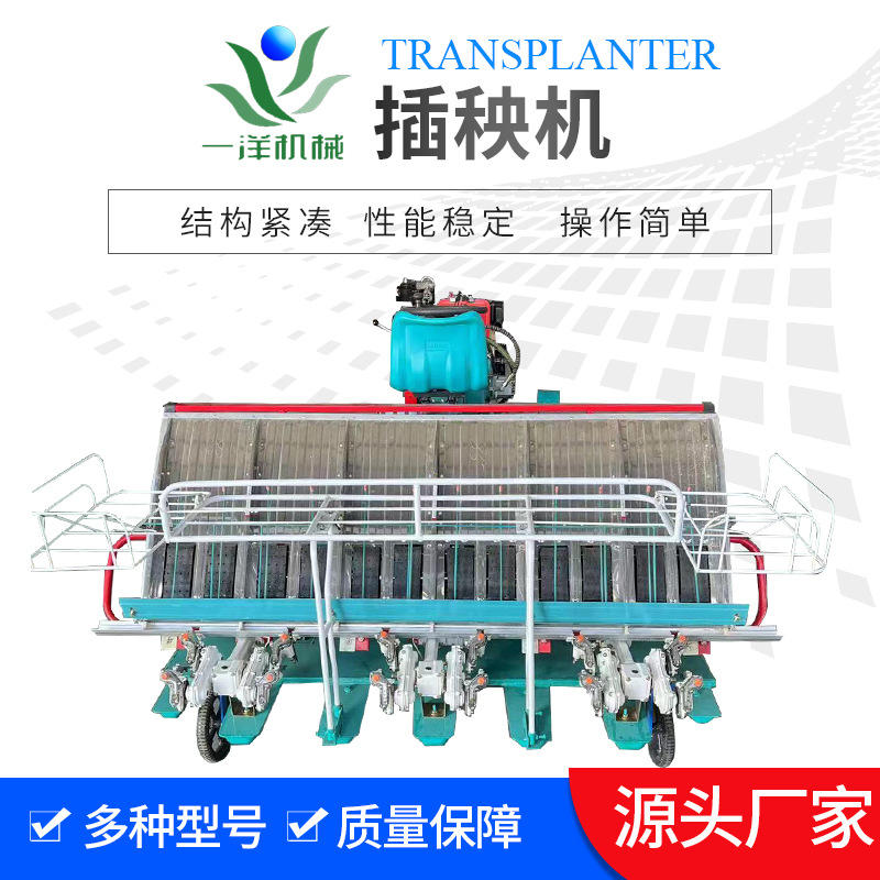 插秧机新款水稻田插秧机手扶前置电启动插秧机自走式水稻种植机