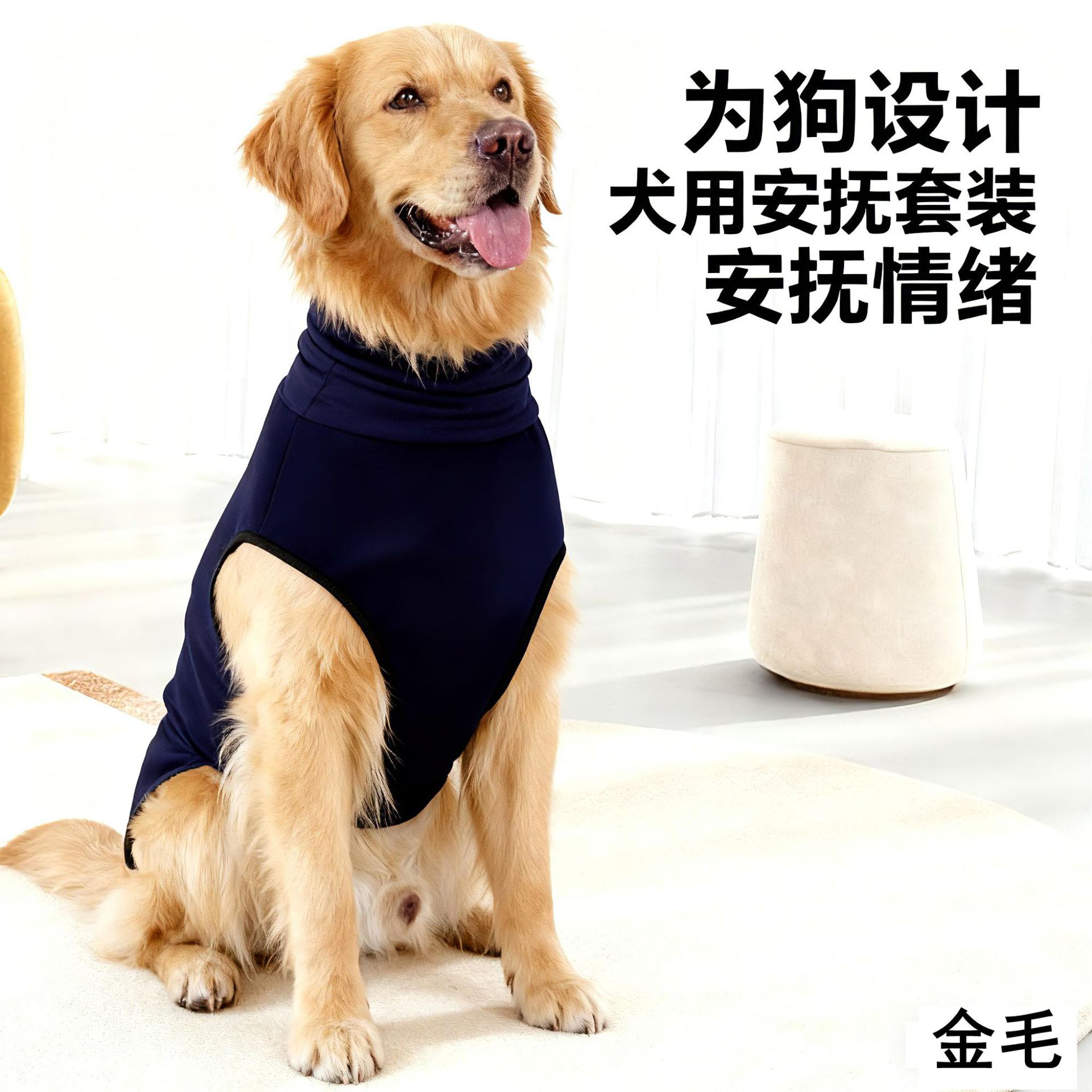 翻译公司名称.png