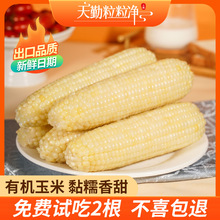 �����N��������������Ʒ��Ŵ���װ����r��հ��bܛ����ճ��Ŵ����