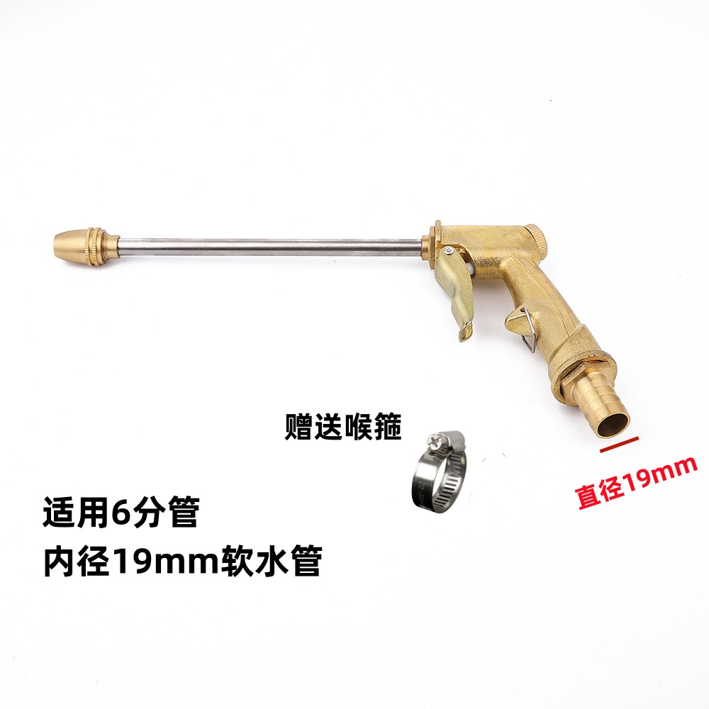 （19mm)