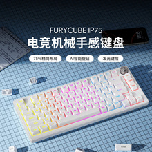FURYCUBE �l��Cе�ָ��I�P��X�Α�늸����ֵ�о��o���I�P