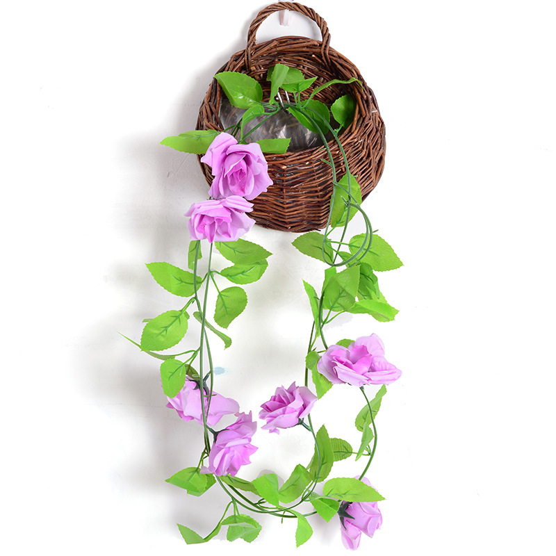 9-Cabeza de Rosa vid púrpura