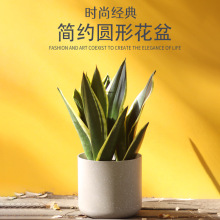 家用圆形磨砂仿水泥花盆月季玫瑰绣球虎皮兰种植盆塑料大花盆阳台