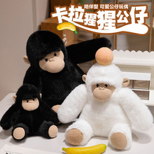 ¿ɹЃͯL۽ëq߱ŮY