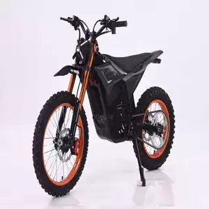 Lithium Battery Variable Speed Electric Assist Off-Road Snowmobile