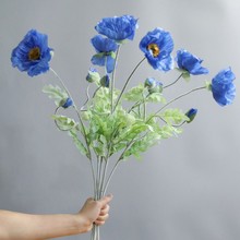 �������ڻ��������˼ٻ����l�Ӽ��b� �������ڻ������� ֲë֦