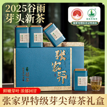 高档礼盒爆款 张家界莓茶特级野生芽尖龙须霉茶永顺恩施藤茶