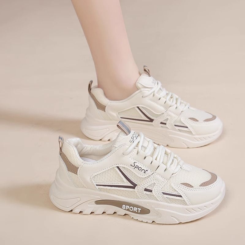 브라운 업그레이드 버전