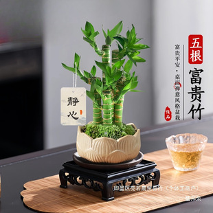 ���帣�R�T��������F��������ʽ�U��Gֲ���k���҃Ȳ�������