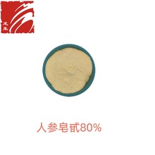 人参皂甙80%  人参茎叶萃取  厂家现货  龙生供应   500g/袋