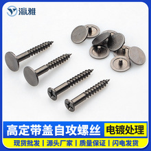 �߶����b��w�Թ��ݽzľ�|�Ҿ߹̶�����Թ��ݽz��ñ�ݽzᔹ���