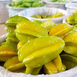 ���������r����5��Fժ��������������Ǖr��ˮ��������ҬFժ