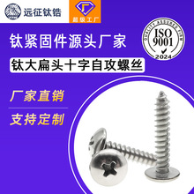 ST4ST5钛合金纯钛TA2十字大扁头伞头蘑菇头自攻自功螺丝钉木螺钉