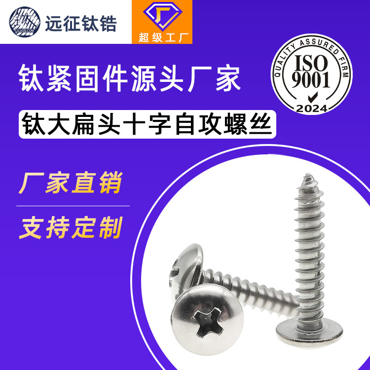 ST4ST5钛合金纯钛TA2十字大扁头伞头蘑菇头自攻自功螺丝钉木螺钉