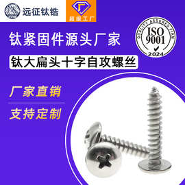 ST4ST5钛合金纯钛TA2十字大扁头伞头蘑菇头自攻自功螺丝钉木螺钉