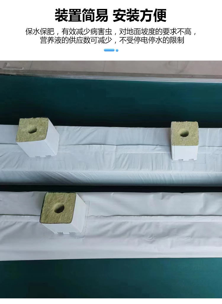 详情5.jpg