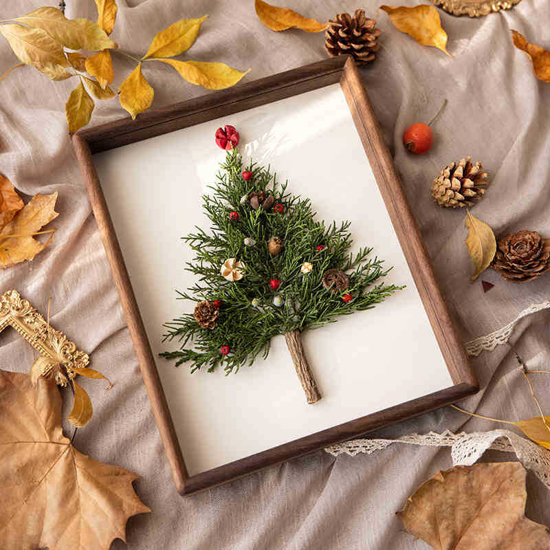 Solid Wood Dried Flower Specimen Black Walnut Deciduous Diy Photo Frame