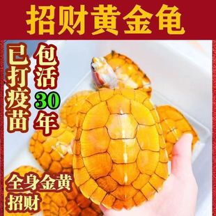 ���X�𾀞����~�׺��~���B���͏d��ˮ�\ˮ���B���������S�������